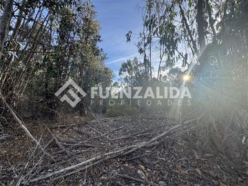 Sitio en Venta en Fundo Atalaya