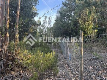 Sitio en Venta en Fundo Atalaya