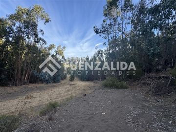 Sitio en Venta en Condominio el Peumo