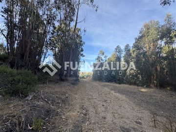 Sitio en Venta en Condominio el Peumo