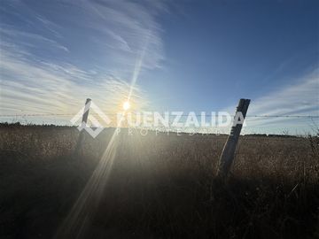 Sitio en Venta en Condominio el Peumo