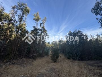 Sitio en Venta en Condominio el Peumo