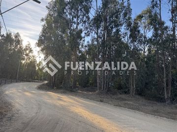 Sitio en Venta en Condominio el Peumo