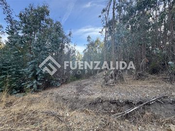 Sitio en Venta en Condominio el Peumo