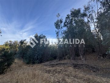 Sitio en Venta en Condominio el Peumo
