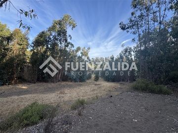 Sitio en Venta en Condominio el Peumo