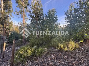 Sitio en Venta en Condominio el Peumo