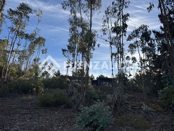 Sitio en Venta en Condominio el Peumo