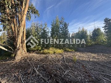 Sitio en Venta en Condominio el Peumo