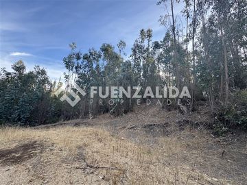 Sitio en Venta en Condominio el Peumo