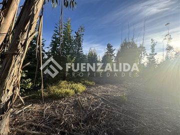 Sitio en Venta en Condominio el Peumo