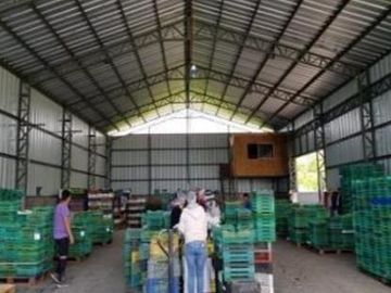 Parcela en Venta en Venta Terreno Industrial LA QUINTA PC 58, longaví 3.900 mt con galpón regularizado