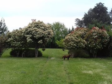 Venta Chacra , Gral Rodriguez,Barrio Bonito!