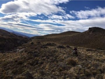 Agrícola en Venta en Sector Bahía Jara - Comuna Chile Chico, Provincia General Carrera