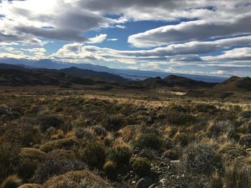 Agrícola en Venta en Sector Bahía Jara - Comuna Chile Chico, Provincia General Carrera