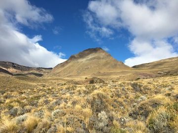 Agrícola en Venta en Sector Bahía Jara - Comuna Chile Chico, Provincia General Carrera