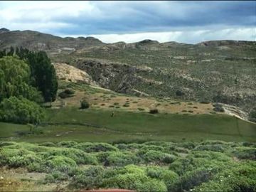 Agrícola en Venta en Sector Bahía Jara - Comuna Chile Chico, Provincia General Carrera