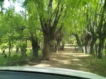 Agrícola en Venta en Sector Bahía Jara - Comuna Chile Chico, Provincia General Carrera