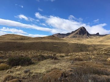 Agrícola en Venta en Sector Bahía Jara - Comuna Chile Chico, Provincia General Carrera