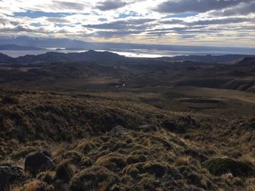 Agrícola en Venta en Sector Bahía Jara - Comuna Chile Chico, Provincia General Carrera