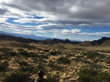 Agrícola en Venta en Sector Bahía Jara - Comuna Chile Chico, Provincia General Carrera