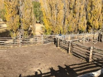 Agrícola en Venta en Sector Bahía Jara - Comuna Chile Chico, Provincia General Carrera