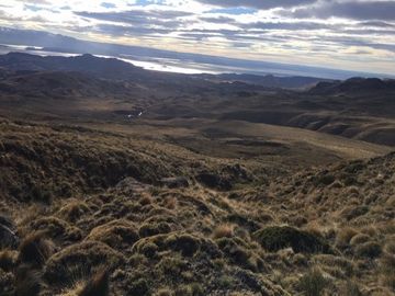 Agrícola en Venta en Sector Bahía Jara - Comuna Chile Chico, Provincia General Carrera