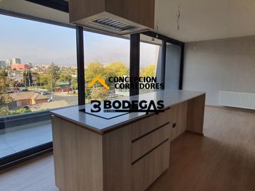 DEPARTAMENTO DUPLEX 2D+3B PROVIDENCIA - METRO FCO BILBAO