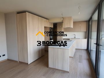 DEPARTAMENTO DUPLEX 2D+3B PROVIDENCIA - METRO FCO BILBAO