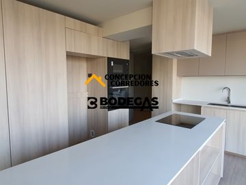 DEPARTAMENTO DUPLEX 2D+3B PROVIDENCIA - METRO FCO BILBAO