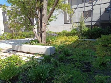 Departamento en Venta en Las Mercedes / San Damian