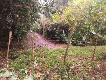 Terreno de venta en  Mindo a precio de remate