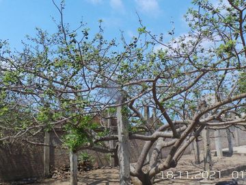 Casa Unifamiliar en Lotización Monterrocke, Montecristi
