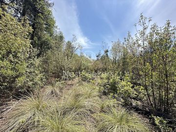 Rancho en Venta