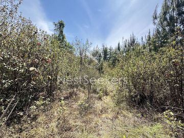 Rancho en Venta