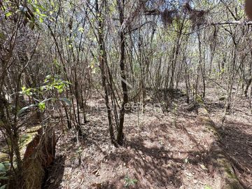 Rancho en Venta