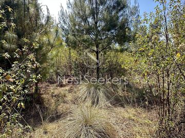 Rancho en Venta