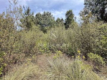 Rancho en Venta