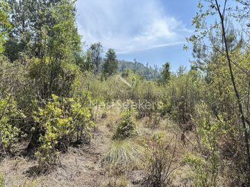 Rancho en Venta