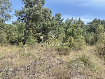 Rancho en Venta