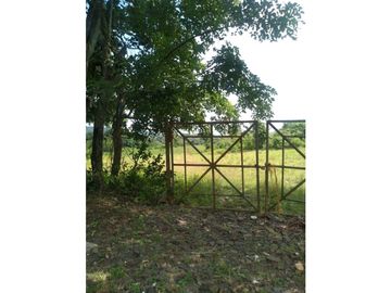LA CHORRERA / ARENOSA / 12 HECTAREAS / FINCA CON CABAÑA
