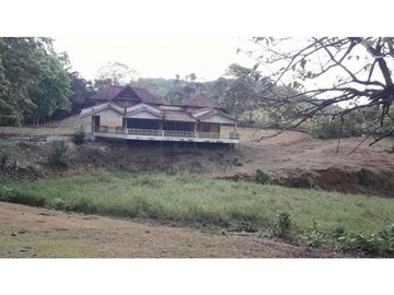 LA CHORRERA / ARENOSA / 12 HECTAREAS / FINCA CON CABAÑA