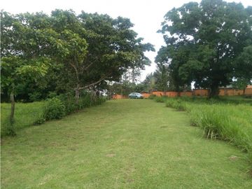 LA CHORRERA / ARENOSA / 12 HECTAREAS / FINCA CON CABAÑA