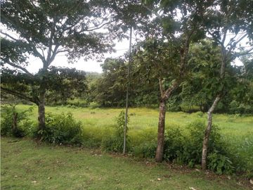 LA CHORRERA / ARENOSA / 12 HECTAREAS / FINCA CON CABAÑA