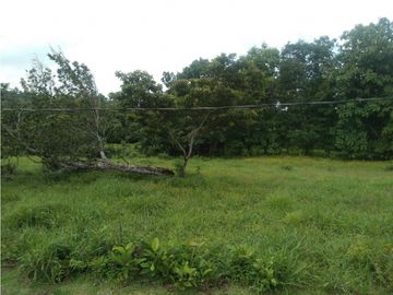LA CHORRERA / ARENOSA / 12 HECTAREAS / FINCA CON CABAÑA