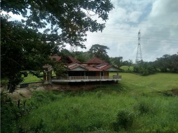 LA CHORRERA / ARENOSA / 12 HECTAREAS / FINCA CON CABAÑA
