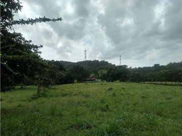 LA CHORRERA / ARENOSA / 12 HECTAREAS / FINCA CON CABAÑA