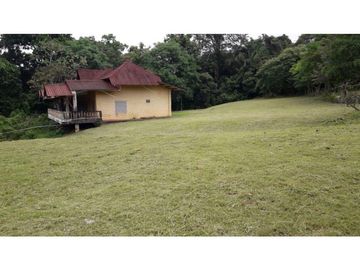 LA CHORRERA / ARENOSA / 12 HECTAREAS / FINCA CON CABAÑA