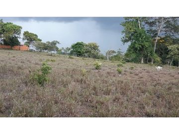 LA CHORRERA / ARENOSA / 12 HECTAREAS / FINCA CON CABAÑA