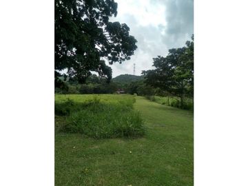 LA CHORRERA / ARENOSA / 12 HECTAREAS / FINCA CON CABAÑA